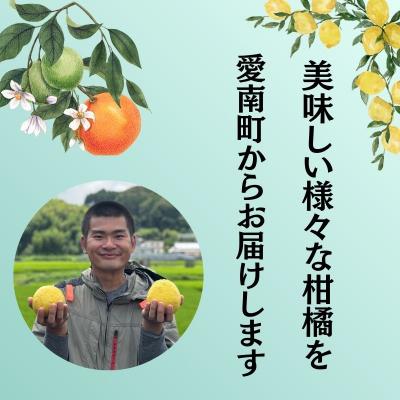 ふるさと納税 愛南町 愛南ゴールド ( 河内晩柑 ) 8kg 青果市場