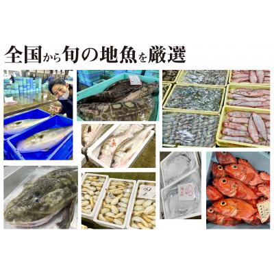 ふるさと納税 下関市 定期便 9ヶ月 サカナDIY 2人前 2種×9ヶ月 魚料理キット CX211の画像