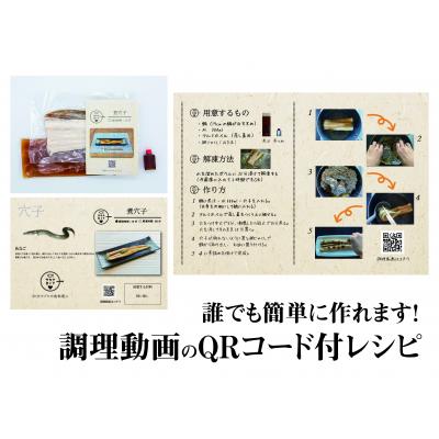 ふるさと納税 下関市 定期便 9ヶ月 サカナDIY 2人前 2種×9ヶ月 魚料理キット CX211の画像