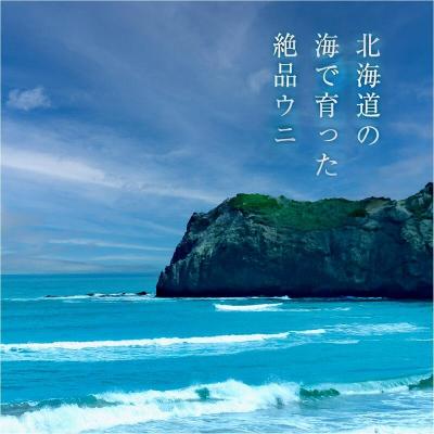 ふるさと納税 余市町 【先行受付】北海道産 世壱屋塩水ウニ(ムラサキウニ\u0026バフンウニ)各200g_Y038-0143の画像