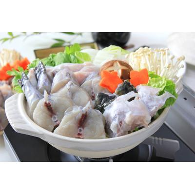 ふるさと納税 下関市 山口県産 本 とらふぐ ちり鍋 唐揚げ セット 各300g 冷凍 CF103-NT