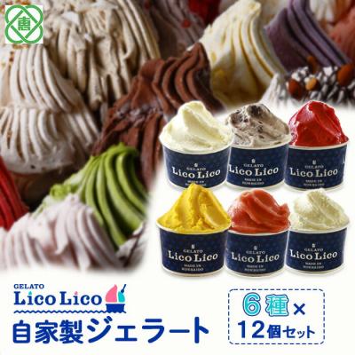 ふるさと納税 恵庭市 自家製ジェラート6種12個セット(温泉ミルク/ミルク/小豆ミルク/他3種)[600026]