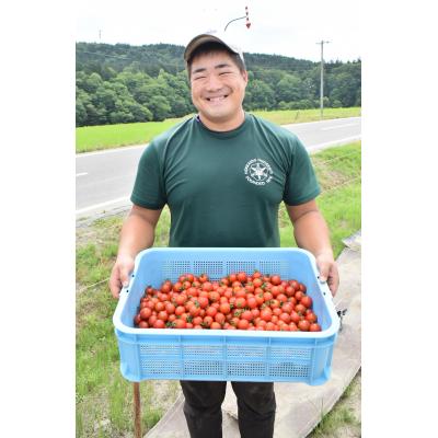 ふるさと納税 苫前町 ミニトマトそのまんまのジュース 180ml×10本_3