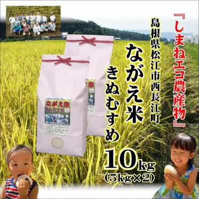 ふるさと納税 松江市 松江市「ながえ米」きぬむすめ10kg(5kg×2)