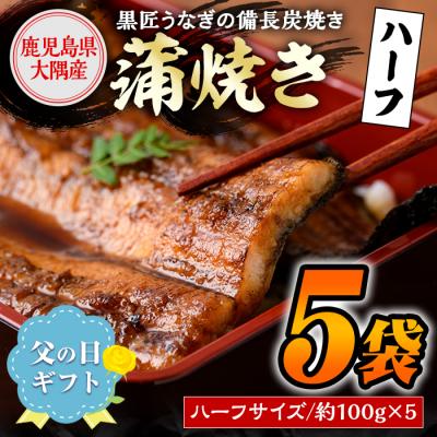 ふるさと納税 肝付町 &lt;父の日用/先行受付&gt;黒匠うなぎ蒲焼・ハーフサイズ(約100g×5袋)[黒木養鰻]A39006