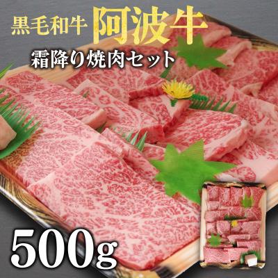 ふるさと納税 小松島市 牛肉 焼肉 セット 500g 国産 厳選 黒毛和牛 冷凍