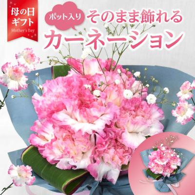 ふるさと納税 大分市 [母の日]そのまま飾れるブーケ 赤とピンク12本 ポット付き≪5月10日お届け≫_R07012-H