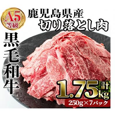 ふるさと納税 曽於市 [A5等級黒毛和牛をお手軽に!]A5等級鹿児島県産黒毛和牛切落し1.75kg