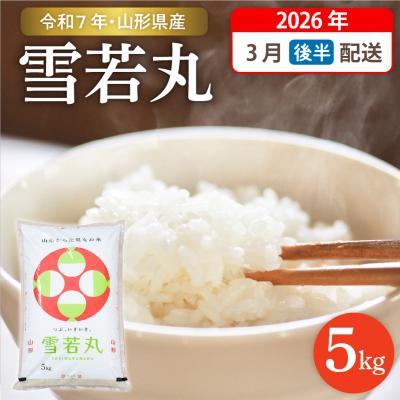 ふるさと納税 東根市 [令和7年産米]☆2026年3月後半発送☆ 雪若丸 5kg hi003-147-033-2