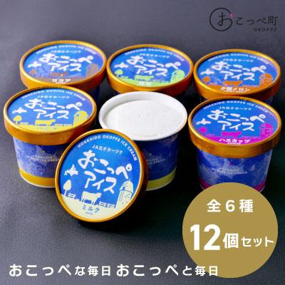 ふるさと納税 興部町 おこっぺアイス12個入り[14003]