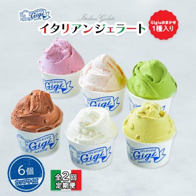 ふるさと納税 恵庭市 定期全2回ジェラート6種(Gigiのおまかせ1種入り)カップサイズ6個