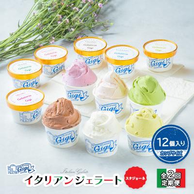 ふるさと納税 恵庭市 定期全2回ジェラート6種x2(おまかせ1種入り)カップサイズ12個