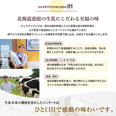 ふるさと納税 恵庭市 定期全3回イタリアンジェラート3種セットカップサイズ12個【43007402】_1