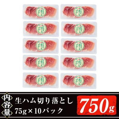 ふるさと納税 曽於市 【2024年7月中に発送予定】生ハム切り落とし75g×10P｜y-sf｜03