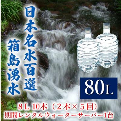 ふるさと納税 東吾妻町 群馬の名水 箱島湧水 エア8L計10本 期間レンタル ウォーターサーバー