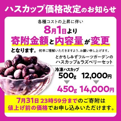 ふるさと納税 清水町 [令和6年産 先行受付]とかちしみずフルーツガーデンのハスカップ&amp;ラズベリーセット