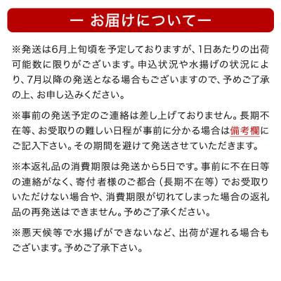 ふるさと納税 石巻市 生うに 宮城県産 塩水 生うに 160g (80g×2) 冷蔵 塩水うに 新鮮 ミョウバン不使用｜y-sf｜04