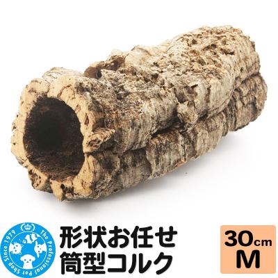 ふるさと納税 邑楽町 形状お任せ 筒型コルク Mサイズ 長さ30cm エアプランツ|09_chm-cl0101cb