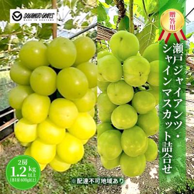 ふるさと納税 瀬戸内市 瀬戸ジャイアンツ・シャインマスカット詰合せ 各1房600g以上 岡山県産