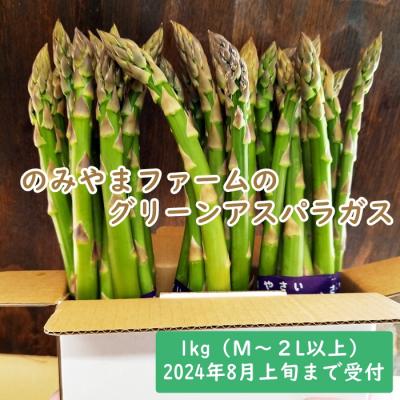 ふるさと納税 三笠市 のみやまファームのグリーンアスパラガス(M〜2L以上)1kg&lt;2024年8月上旬まで&gt;[05004]