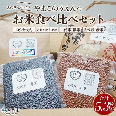 ふるさと納税 西予市 <古代米も入った!やまこのうえんのお米食べ比べセット> お米 コメ ご飯 ライス 穀物 こしひかり