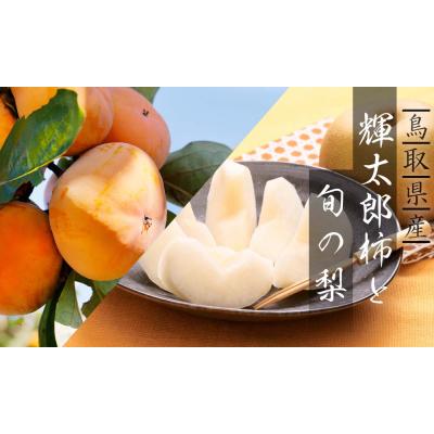 ふるさと納税 八頭町 [訳あり]輝太郎柿と梨のセット 3kg