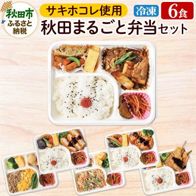 ふるさと納税 秋田市 秋田まるごと弁当セット [冷凍弁当]日替わり 6食入セット|15_aks-120101