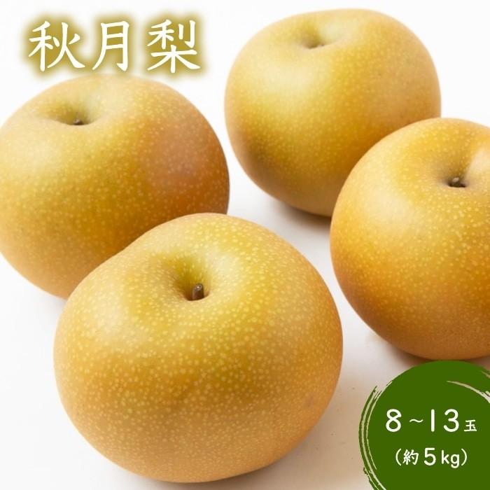 ふるさと納税 うきは市 [先行受付]佐藤ファーム あきづき梨 8から13玉 (約5kg)