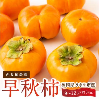 ふるさと納税 うきは市 [先行受付]西見柿農園 早秋柿 9から12玉 (約3kg)