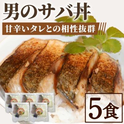 ふるさと納税 境港市 男のサバ丼(5食)