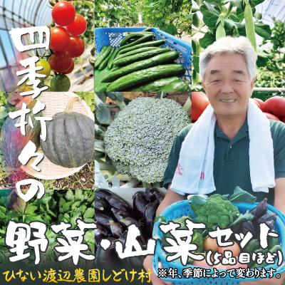 ふるさと納税 大館市 四季折々の野菜・山菜セット(5品目ほど)