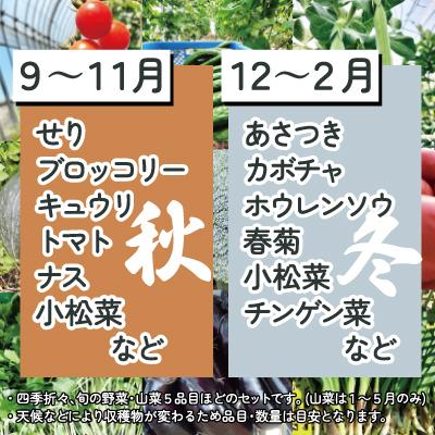 ふるさと納税 大館市 四季折々の野菜・山菜セット(5品目ほど)｜y-sf｜04