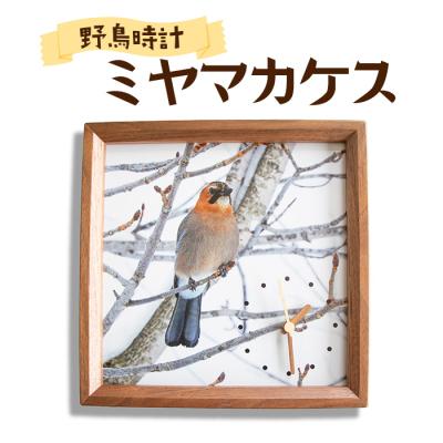 ふるさと納税 愛別町 野鳥時計[ミヤマカケス][G14106]