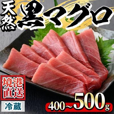 ふるさと納税 境港市 近海天然黒マグロ(約400-500g)[6月10日-7月10日配送]