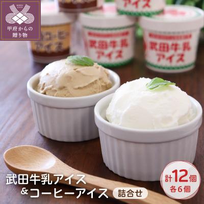 ふるさと納税 甲府市 武田牛乳アイス詰合せ ミックス 73501290