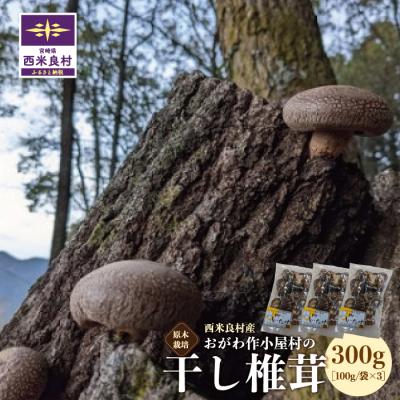 ふるさと納税 西米良村 [ふるさと納税]おがわ作小屋村の干し椎茸100g×3袋 九州 宮崎 西米良村 原木栽培