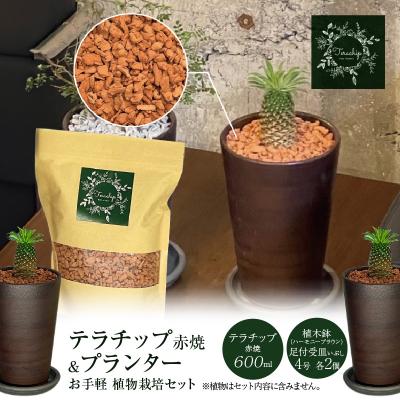 ふるさと納税 碧南市 三河焼植木鉢ハーモニーブラウン[テラチップ赤焼] 植物栽培セット