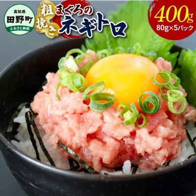 ふるさと納税 田野町 [四国一小さなまち]≪カネアリ水産≫ まぐろのネギトロ 400g(80g×5パック)