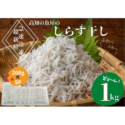 ふるさと納税 田野町 [四国一小さなまち]★カネアリ水産★ふわっふわ!土佐のしらす干し 1kg(約200g×5パック)