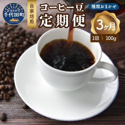 ふるさと納税 千代田町 [3ヵ月定期便]自家焙煎コーヒー豆 100g×3ヵ月 種類おまかせ ch029-008