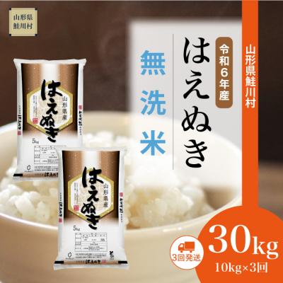 ふるさと納税 鮭川村 &lt;令和6年産&gt; 2024年10月中旬〜発送 はえぬき[無洗米]30kg定期便(10kg×3回)鮭川村