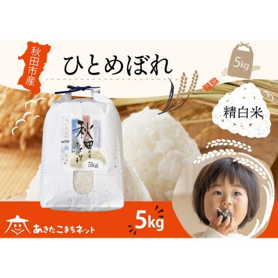 ふるさと納税 秋田市 秋田市産ひとめぼれ 5kg|15_akn-gg0501h