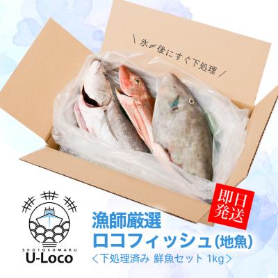ふるさと納税 肝付町 漁師厳選!ロコフィッシュ(地魚) 下処理済 鮮魚 ボックス(約1kg)