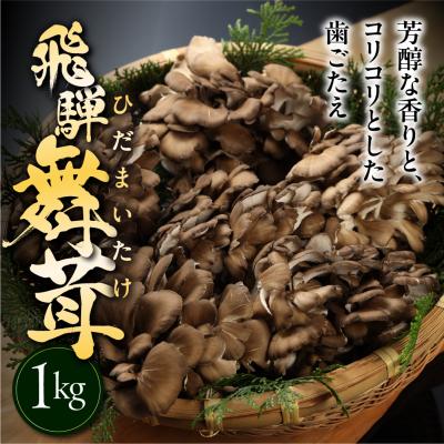 ふるさと納税 下呂市 訳あり(簡易包装)飛騨舞茸 1kg マイタケ まいたけ[60-2]