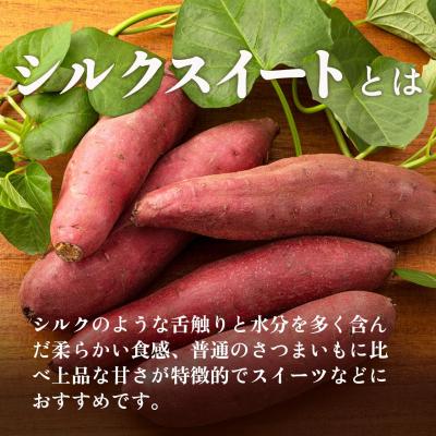 ふるさと納税 大崎町 【定期便全5回】しっとり食感!シルクスイートの焼き芋2kg_1