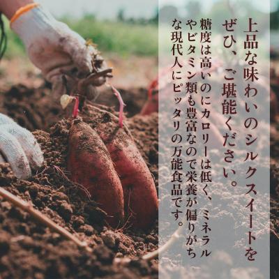 ふるさと納税 大崎町 【定期便全5回】しっとり食感!シルクスイートの焼き芋2kg_2