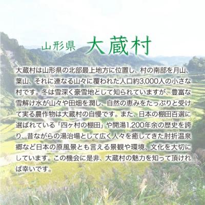 ふるさと納税 大蔵村 ◇令和6年産◇ 2024年10月中旬発送　はえぬき【無洗米】20kg(5kg×4袋)｜y-sf｜03