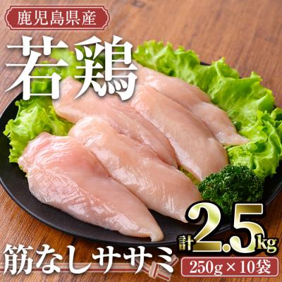 ふるさと納税 曽於市 鹿児島県産若鶏ササミ(筋なし) 2.5kg