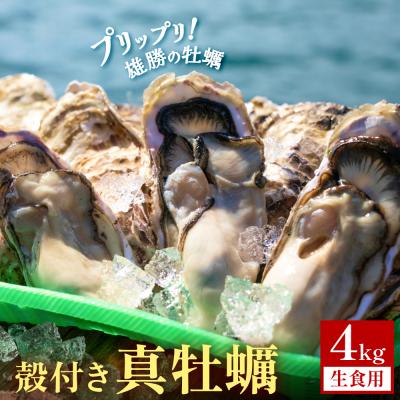 ふるさと納税 石巻市 殻付き 真牡蠣 4kg[生食可] 牡蠣 カキ 生食 プリプリ 石巻 雄勝湾