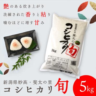 ふるさと納税 妙高市 【2024年9月中旬発送】【令和5年産米】新潟県妙高産斐太の里コシヒカリ旬5kg｜y-sf｜02